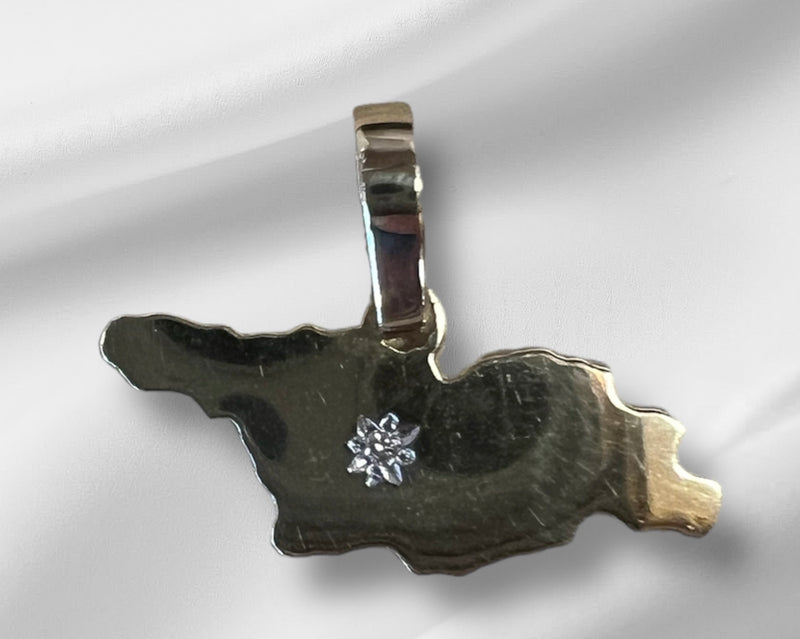 ოქროს მედალიონი საქართველოს რუქა ბრილიანტის თვლით