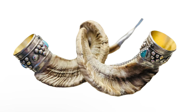 ყანწი- ქვებით გამშვენებული - ჯიხვის რქები