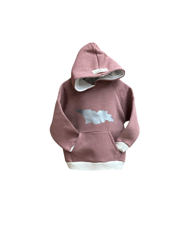 ბავშვის კაპიშონიანი ჰუდი.